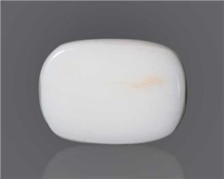 Natural White Coral 19.34 CTS ( 49058 )