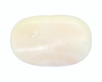 Natural White Coral 11.79 cts ( 7324 )