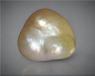 Pearl (moti / mukta) Gem / gems buy shop / shopping online natural ...