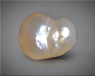 NATURAL Pearl / Moti (Real) ( UNDRILLED ) 2.07 CTS ( 8340 ) (BAS)