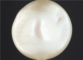 Pearl (J Keshi) 11.01CTS-8105