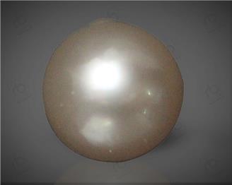  Pearl (South Sea)  6.6CTS-58664