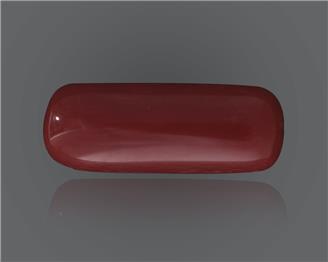 Red Coral (Moonga) Natural Certified 8.245 CRT ( 96740 )