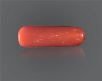  Natural Red Coral (MOONGA) 8.15 RTS ( 16716 )