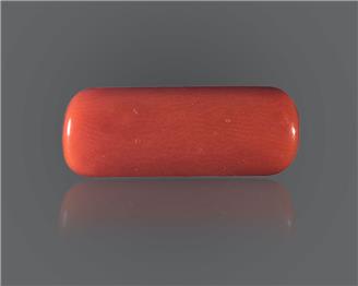 NATURAL Red Coral / Moonga 8.505 CRT ( 96754 )