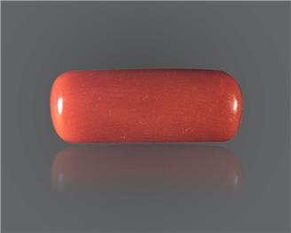 NATURAL Red Coral / Moonga 8.505 CRT ( 96754 )