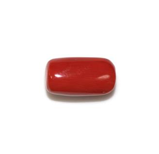 NATURAL RED CORAL (MOONGA) 7.15 Cts (360)
