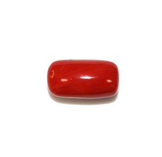 NATURAL RED CORAL (MOONGA) 7.15 Cts (360)