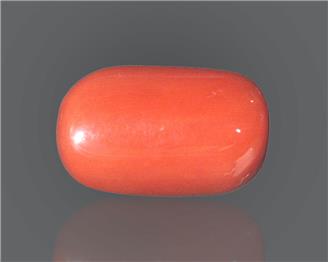 Natural Red Coral Certified  20.64 RTS - 58464
