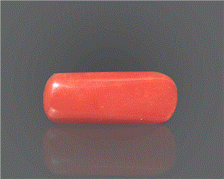 Natural Red Coral (I) Certified 10.25 RTS - 85639