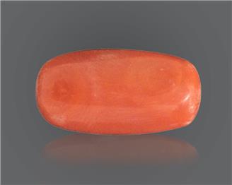 NATURAL Red Coral / Moonga 7.98 RATTI ( 48316 )