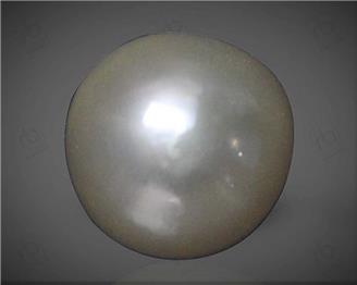  Pearl (South Sea)  5.75CTS-58711