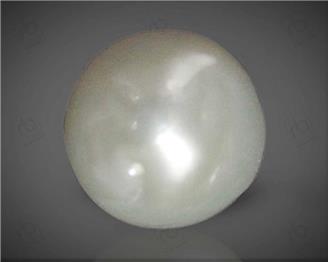  Pearl (South Sea)  7.37CTS-58729