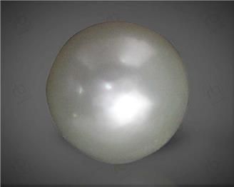  Pearl (South Sea)  7.37CTS-58729