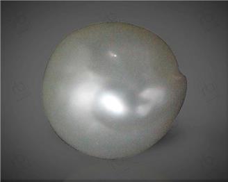  Pearl (South Sea)  6CTS-58739