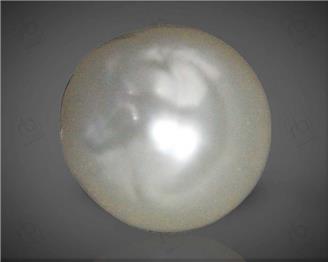 Pearl (South Sea)  5.45CTS-58740