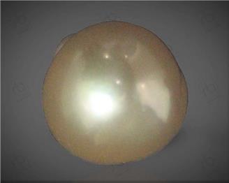  Pearl (South Sea)  5.7CTS-58792