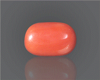 Natural Red Coral (I) Certified 9.21 RTS - 85950