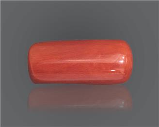 Natural Red Coral 15.51 RTS ( 18733 )