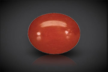 Red Coral / Moonga  Red Coral / Moonga