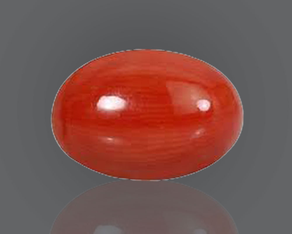 Red Coral / Moonga (J) Red Coral / Moonga (J)